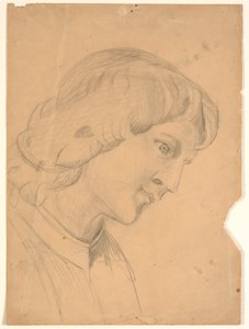 Head. Study for an Angel