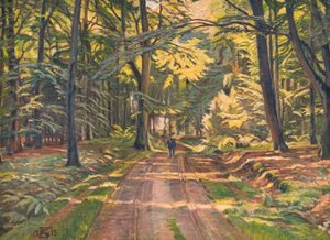 Forest Road near Dyrnæs by Poul S. Christiansen