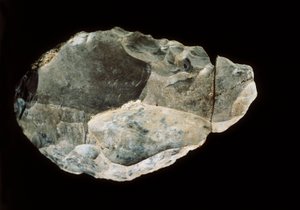 Double-sided Flint, Upper Paleolithic by Prehistoric Prehistoric