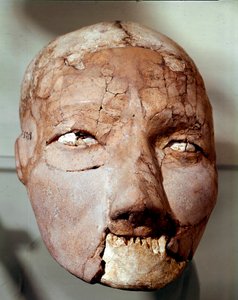 Neolithic Human Skull by Prehistoric Prehistoric