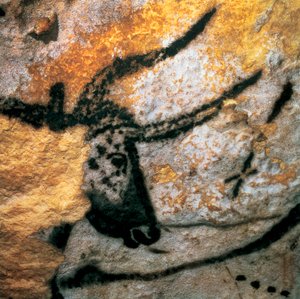Parietal painting depicting an auroch, Bulls Room, Lascaux cave, Paleolithic Magdalenian period by Prehistoric Prehistoric