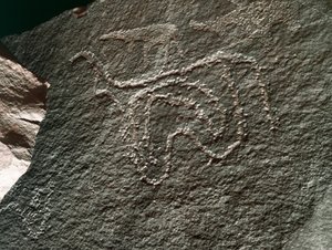 Rock Art: Representation of Cattle. Tazina Style (5000-2000 BC). Taghit, Haut Plateau du Hoggar, Algeria by Prehistoric Prehistoric