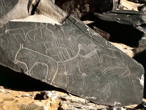 Prehistory, rock art: grave rock depicting lions, antelopes, ostrich and cattle. Stone Age 5000-2000 BC by Prehistoric Prehistoric