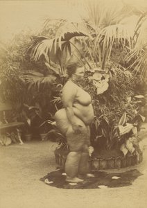 African Woman by Prince Roland Napoleon Bonaparte