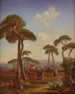 Unknown Image