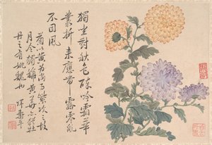 Chrysanthemums (album leaf) by Qing Dynasty Chinese School