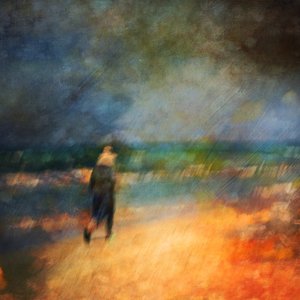 Solitary Beach Walk by Rachel Pansky