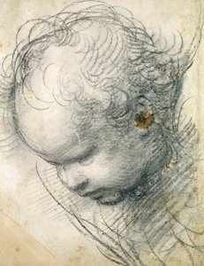 Head of a Cherub by Raffaello Sanzio Raphael