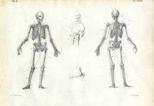 Human Being by Raimundo Petraroja