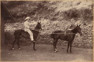 Captain H. S. Rawhinson (recto) by Raja Deen Dayal