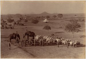 Heavy Field Battery, Jhansi by Raja Deen Dayal