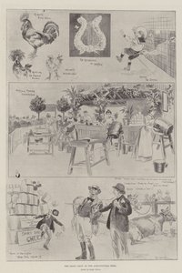 The Dairy Show at the Agricultural Hall by Ralph Cleaver