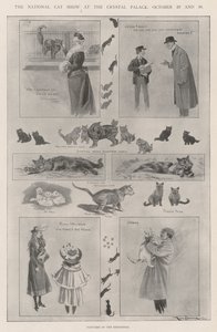 The National Cat Show at the Crystal Palace, 29 and 30 October