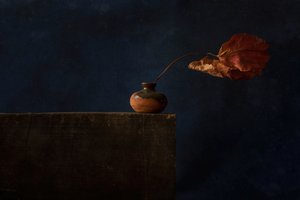 Dark Autumn Still Life by Ramiz Sahin