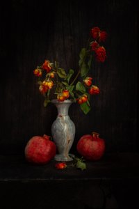 Faded Roses and Pomegranates by Ramiz Sahin