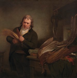 An Ornithologist, Possibly John Latham by Ramsay Richard Reinagle