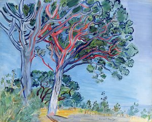 The Red Pine