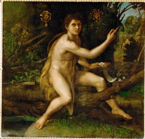Saint John Baptist in the desert, showing the tree by Raphael (1483 1520)