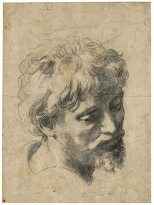 Portrait of young apostle by Raphael (Raffaello Sanzio) (1483-1520)