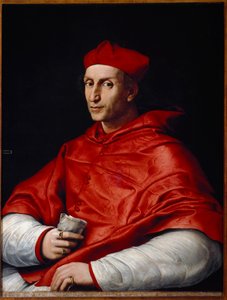 Portrait of Bernardo Dovizi da Bibbiena by Raphael
