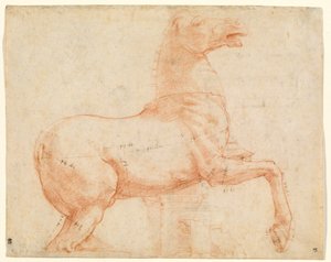 A Marble Horse on the Quirinal Hill