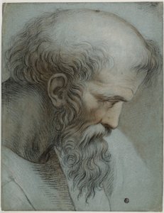 Head of Pythagoras by Raphael