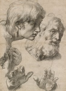 Studies of the Heads of Two Apostles and of Their Hands, 16th century