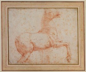 Study of one of the Quirinal Marble Horses