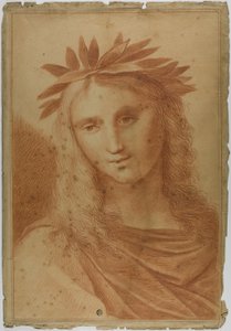 Woman Crowned with Laurel by Raphael