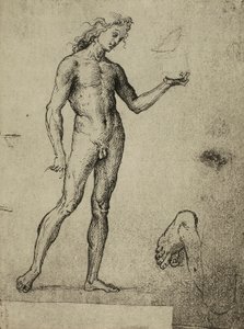 Male Nude Study by Raffaello Sanzio Raphael