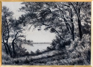 Landscape, Gironde Estuary