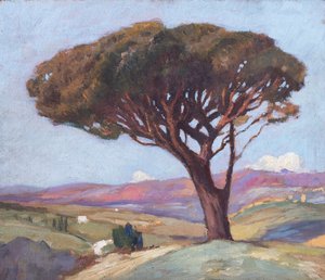 Landscape with Umbrella Pine