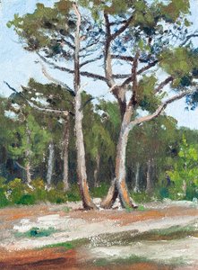 Pines, Bassin d
