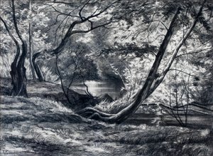 Undergrowth with River by Raymond Bonnefon