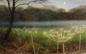 December at dusk: mist over the fields