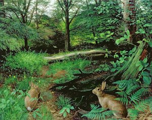 In the Woods - A Midsummer Evening by Raymond Booth