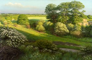 Landscape by Raymond Booth