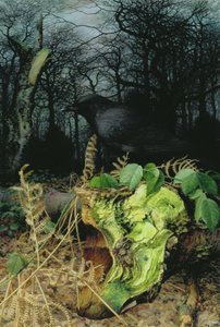 Midwinter in the Woods by Raymond Booth
