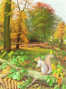 Squirrel on a Fallen Tree