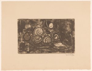Seven Shells by Reijer Stolk (signed by artist)