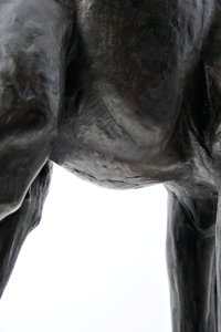 Large Giraffe with Lowered Head