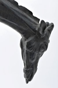 Large Giraffe with Lowered Head
