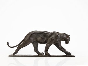 Panther walking, rear leg raised