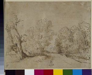 A wooded road, c.1650 by Rembrandt Harmensz. van Rijn