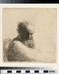 Bust of an Old Bearded Man, Looking Down, Three Quarters Right by Rembrandt Harmensz. van Rijn