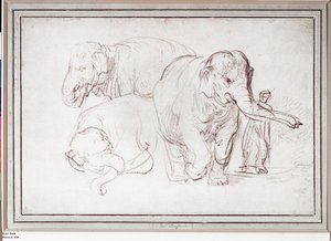 Three Elephants by Rembrandt Harmensz. van Rijn