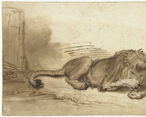 Reclining Lion with Its Forepaw over Its Muzzle by Rembrandt van Rijn (school of)