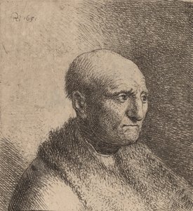Bald Man in a Fur Cloak by Rembrandt van Rijn