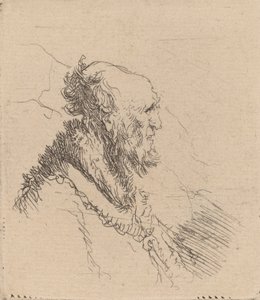 Bald Old Man with a Short Beard in Profile