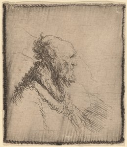 Bald Old Man with a Short Beard in Profile by Rembrandt van Rijn